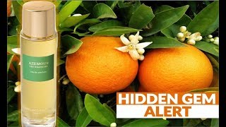 How to Make ORANGE MARMALADE RECIPE  Water Bath CANNING [upl. by Maggie197]