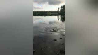 Smallmouth Bass fishing in Nova Scotia [upl. by Adelle]