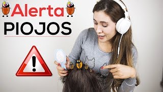 Sacando piojos de tu cabeza mientras te peino  Hair brushing  Scalp Massage  Asmr español [upl. by Elcin639]