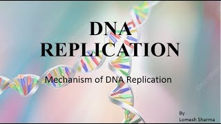 DNA REPLICATION Mechanism HPU BSc 3rd Year [upl. by Letnuhs989]