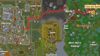 199 Agility Guide BEST GP AND XP OSRS 2020 [upl. by Reade]