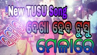 New Tusu jhumar song 2019  Sangat Dekha heba Tusu Melare [upl. by Fennie247]