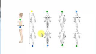 Directional terms quiz [upl. by Marentic]