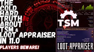 The Cold Hard Truth About TSM amp Loot Appraiser in 110 World Of Warcraft [upl. by Ayyidas]