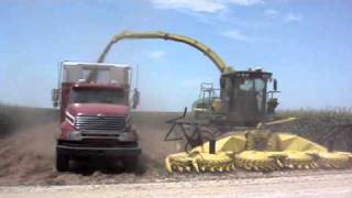 Silage Harvesting in USA Video [upl. by Anillek334]