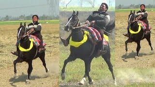 NEW HORSE RACKING PRACTICE FOR REHVAL RIDER PONGA YADAV [upl. by Aurelea555]