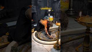 Trambakeshwar temple jyotirling nashik Maharashtra 🔱📿shortvideo mahakal shortvideo [upl. by Rocky]