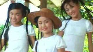 hmong song  Malina Lauj [upl. by Aitetel]