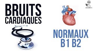 Ecoutez les Bruits Cardiaques Normaux B1 B2 [upl. by Cinnamon]