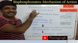 Bisphosphonates Pharmacology II Bisphosphonate Pharmacology II Bisphosphonate Mechanism of Action II [upl. by Sucramad]