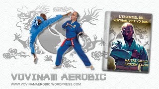 EXTRAIT DU DVD  « L’ESSENTIEL DU VOVINAM VIETVODAO » INTRO  Préparation Bercy [upl. by Harmony]