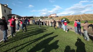 Video ginnastica scuola friuli [upl. by Maggie900]