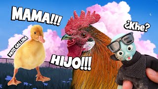 El PATO 🦆 GALLINA 😆 pato humor marcianito shorts viral animales funny tortillas [upl. by Vani]