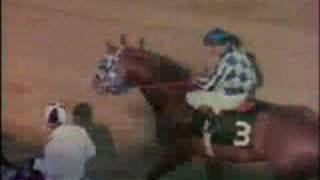 SECRETARIAT  1973 Preakness Stakes Recap [upl. by Liddie]