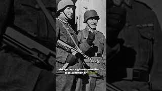 Why did soldiers have to operate their MP40s with gloves on [upl. by Gere622]