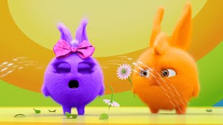 Sunny Bunnies  My Flower   SUNNY BUNNIES COMPILATION  Videos For Kids [upl. by Ann]