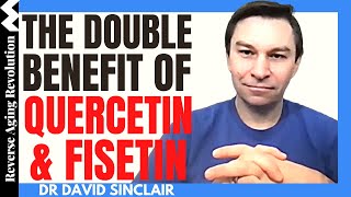 The DOUBLE Benefit of QUERCETIN amp FISETIN  Dr David Sinclair Interview Clips [upl. by Waters]