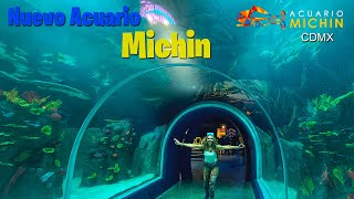 ¡Explorando el INCREÍBLE Acuario MÁS GRANDE DE LATINOAMÉRICA 🌊🐟  Acuario Michin CDMX 🇲🇽💦 [upl. by Goober]