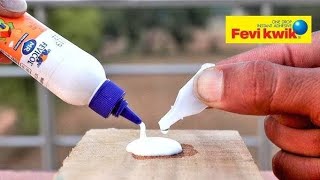 Mixing Fevikwik With Fevicol  भाई ये तोह कमाल हो गया  Crazy Experiment [upl. by Je205]