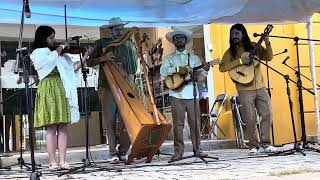 CHAPALA MÉXICO CONCERT EVENT  MEETING OF THE HARPS PSALTERIES AND MORE … [upl. by Longtin]