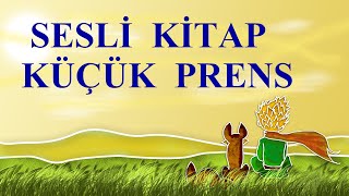 KÜÇÜK PRENS SESLİ KİTAP  TÜM BÖLÜMLER [upl. by Nirrek]