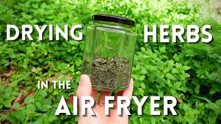 How to dry hibiscus flowers using air fryer [upl. by Eldon]