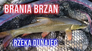 Brzany i Świnki  Rzeka Dunajec [upl. by Noeht]