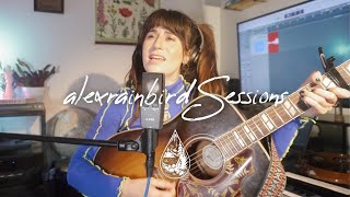 Bonner Black  17 Acoustic  alexrainbirdSession [upl. by Leummas202]