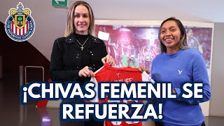 ¡Viridiana Salazar es nueva jugadora de Chivas Femenil 🚨 NOTICHIVAS AL INSTANTE 🚨 [upl. by Airdnaid]