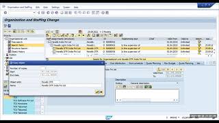 SAP HCM  Organizational Structure [upl. by Nial]