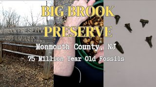 Big Brook Preserve Fossils  Found Shark Teeth and More [upl. by Nyladnek]