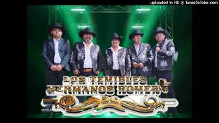 Mix Norteño Temibles Hermanos Romero Los AltosRitmosVinos y RosasSabes amorNiunAdios [upl. by Greff]