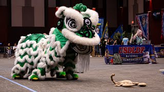 9 Dragons Lion Dance  Traditional Lion Dance  3rd USDLDF National Championships 2023 [upl. by Anitnatsnoc187]