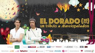 No futuro  Las Áñez  Aterciopelados  El Dorado 20 años un tributo a Aterciopelados [upl. by Koenig989]