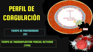 HEMOSTASIA  TIEMPO DE PROTROMBINA TP  TIEMPO DE TROMBOPLASTINA PARCIAL ACTIVADO TTPa [upl. by Etiragram]