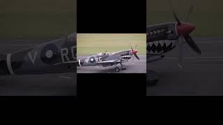 RAAF Spitfire Merlin Engine shorts fighteraircraft shortvideo [upl. by Andromede]