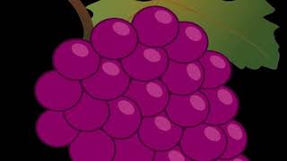 List of grape varieties  Wikipedia audio article [upl. by Marco]