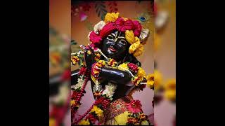 Giridhari lal ar kato kal arale arale robe sreekrishana song 👏🌿🌷🌺 [upl. by Llekcor65]