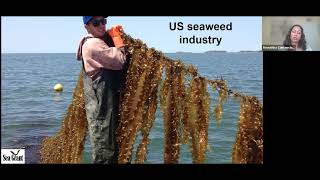 Seaweed Farming in the United States [upl. by Haimes403]