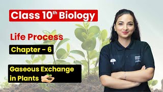 Life Processes  Gaseous Exchange in Plants  Class 10 Biology Chapter 6 [upl. by Giffer580]