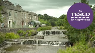 Cracking Cheese with Sandra from Wensleydale Yorkshire [upl. by Isiad]