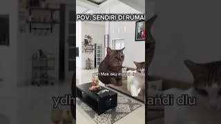 Ada yg pernah kek gini gk kucing povkucing subscribe [upl. by Neztnaj665]