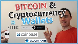 Bitcoin amp Cryptocurrency Wallets  Different Bitcoin Wallet Types Explained [upl. by Meit]