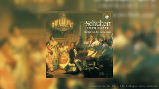 Schubert Impromptus [upl. by Barnabe]