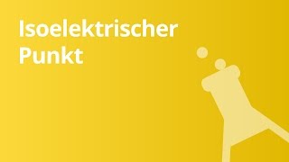 Aminosäuren isoelektrischer Punkt  Chemie [upl. by Buhler]