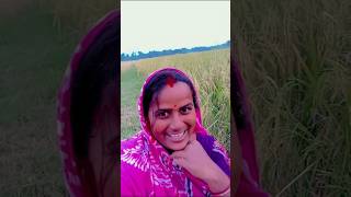 কাভিদিল ঘাবরায়েsong shortsviral hitsong [upl. by Eibrab]