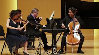 Brahms Piano Trio in B I Allegro con brio [upl. by Ahsercal72]