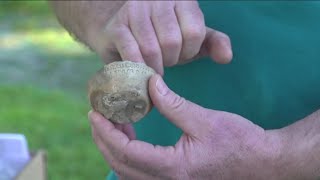 From gold to dust historic Boise Assay Office unearths mining era artifacts [upl. by Artened]