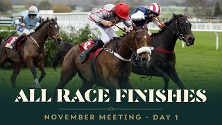 All race finishes from day 1 of the November Meeting at Cheltenham Racecourse [upl. by Octavius78]