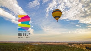 Beja  Natures Route [upl. by Quinby858]